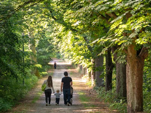 Eine junge Familie mit Kleinkind wandert durch eine Allee