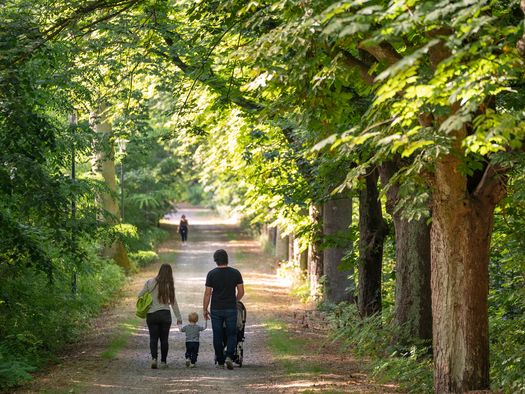 Eine junge Familie mit Kleinkind wandert durch eine Allee