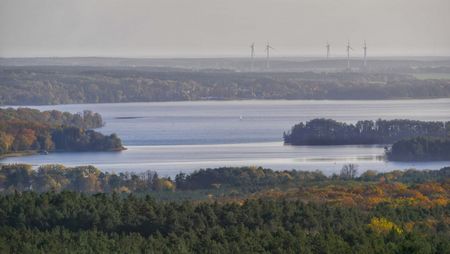 Ausblick vom Aussichtturm in den Rauener Bergen