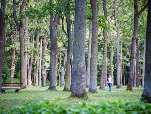 Junge Frau läuft durch den Stadtpark Fürstenwalde