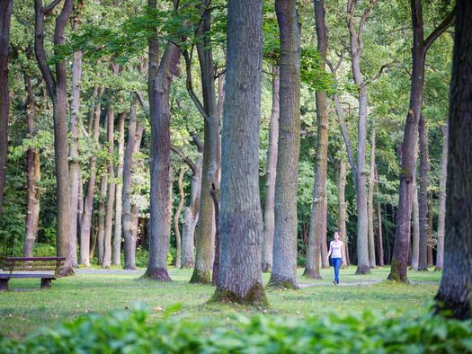 Junge Frau läuft durch den Stadtpark Fürstenwalde